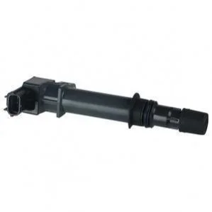 DELPHI JEEP Котушка запалювання CHEROKEE 3.7 01-, GRAND CHEROKEE II 4.7 01-, DODGE Delphi GN10456-12B1 (фото 1)