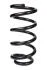 Пружина задня Honda CR-V III D13,75/120 L266 L/R RAISO SR100TP (фото 2)
