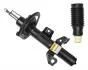 Амортизатор передній JEEP Cherokee13- (2WD) Л. RAISO RS267658 (фото 4)