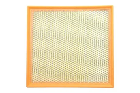 Фільтр повітряний ALPHA FILTER AF1934S