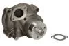 Насос охолоджуючої рідини, CASE IH 55, 60, 70, 100, 65, 75, 85 FIAT 55-46, 55-46 DT, F 110, F 115, F 120, F 130, F 140 NEW HOLLAND TN 55, TN 65, TN 75, 55.46, 55.46 DT WP-FO104 THERMOTEC WPFO104 (фото 1)