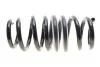 Комплект пружин підвіски EIBACH E10-20-040-03-22 (фото 9)
