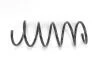 Пружина перед Duster 1.5 dCi/1.6 i 16V 10- (388*12,3*144) GOODREM RP0152 (фото 1)