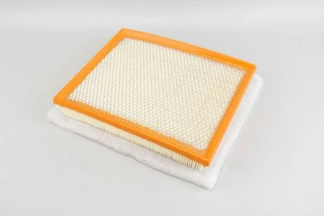 Фільтр повітряний Astra H 1.3/1.7 CDTI 04-/ G 2.0/2.2 DTI 99-05 (з сіткою і передфільтром) GOODREM RF1550FSWB