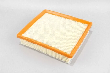 Фільтр повітряний BMW 1 (F20/21)/3 (F30/31)/4 (F32/33/36) 12- (з передфільтром) GOODREM RF1627FWB