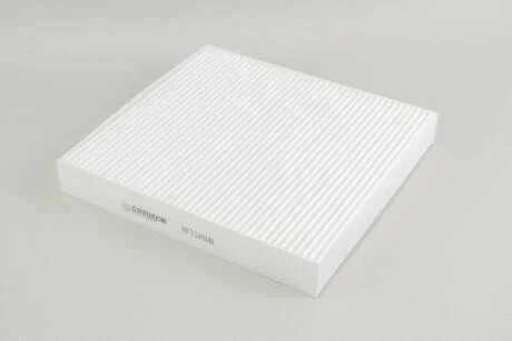 Фільтр салону Mitsubishi Outlander 06- GOODREM RF2141WB