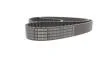 ЗУБЧАСТИЙ РЕМІНЬ 1 987 946 822 BOSCH 1987946822 (фото 4)