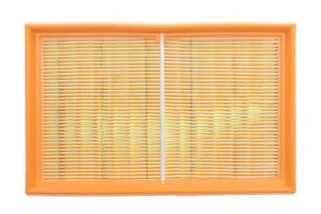 ЕФ повітряний ALPHA FILTER AF1919