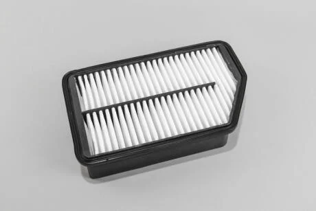 Фільтр повітряний Hyundai i10/Ceed/Cerato 1.4-2.0 11- GOODREM RF1713WB