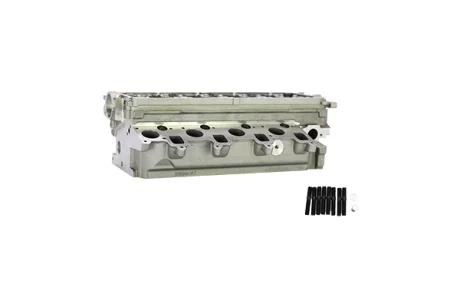 Головка блоку циліндрів VW T5/T6 2.0 BiTDI 09- AND 30103119