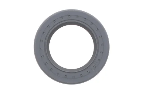 Сальник ПНВТ Delphi 7190-234-12B1