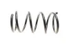 Пружина підвіски DP SS 2106 (фото 2)