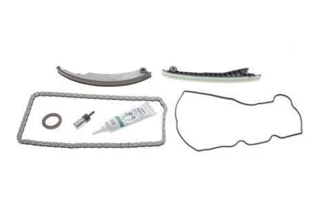 Комплект ланцюгів привода INA 559 1831 20