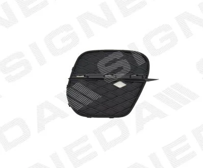 Решітка в бампер BMW X5 (E70), 04.10 - 11.13 Signeda PBM99114CAR