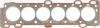 Прокладка ГБЦ VICTOR REINZ 613633500 (фото 1)