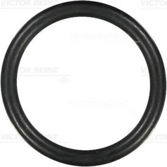 Ущільнююче кільце VICTOR REINZ 407609800