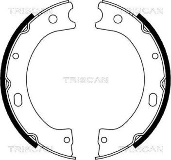 Комплект гальмівних колодок, стоянкове гальмо TRISCAN 810014011
