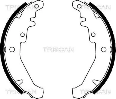 Комплект гальмівних колодок TRISCAN 810015026