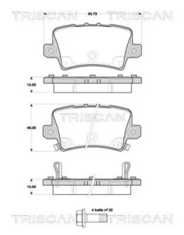 Колодки гальмівні задні TRISCAN 811040012