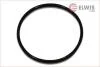 Прокладка вакуумного насоса ELWIS ROYAL 7715477 (фото 1)