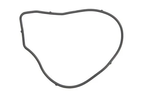 Прокладка водяного насоса CHEVROLET CAPTIVA (11-) 2.4i AJUSA 01261900
