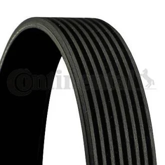 Доріжковий пас CONTITECH Contitech 8PK1165