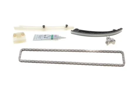 Комплект ланцюгів привода INA 559 1821 20