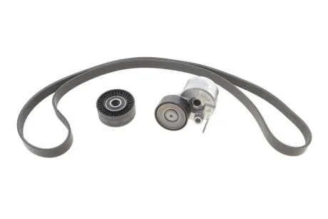 Комплект поліклинових ременів INA 529 0591 10