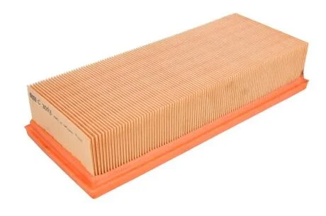 Фільтр повітряний двигуна RENAULT Avantime 2.016VTurbo F4R760761 MANN C3093