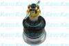 PARTS TOYOTA кульова опора Yaris 1.0 05-11, 1.8 07-11 KAVO SBJ-9034 (фото 1)