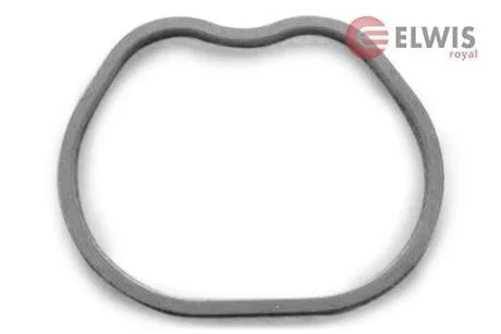 Прокладка впускного колектора ELWIS ROYAL 0255595