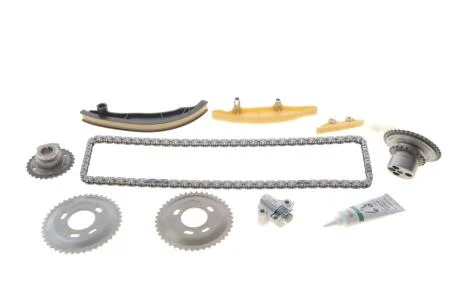 Комплект ланцюгів привода INA 559 1000 31