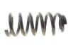 Пружина підвіски SOLGY 212152 (фото 1)