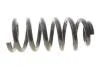 Пружина підвіски SOLGY 212152 (фото 1)