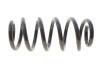 Пружина підвіски SOLGY 212148 (фото 1)
