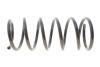 Пружина підвіски SOLGY 212146 (фото 1)