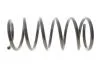 Пружина підвіски SOLGY 212146 (фото 1)