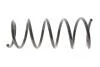 Пружина підвіски SOLGY 212145 (фото 1)