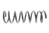 Пружина підвіски SOLGY 212139 (фото 1)