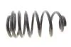 Пружина підвіски SOLGY 212138 (фото 1)