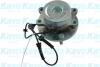 PARTS NISSAN Маточина колеса перед. NP300 Navara 2.5 04- KAVO WBH-6564 (фото 1)