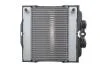 Радіатор охолодження NRF 550288 (фото 1)