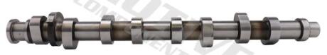 Розподільчий вал AUDI A3, A4 B5, A4 B6, A4 B7 SEAT ALTEA, ALTEA XL, EXEO, EXEO ST, LEON, TOLEDO III SKODA OCTAVIA I, OCTAVIA II VW BORA, BORA I, CADDY III 1.6/1.6ALK/1.6LPG 06.00-05.15 Motive T2184
