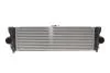 Радіатор інтеркулера NRF 309160 (фото 1)