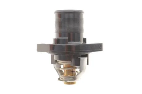 Термостат NRF 725318