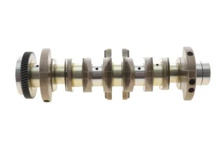 Колінчастий вал ROTWEISS 6510302501