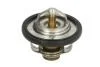 Термостат TOURMAX TMT301 (фото 1)