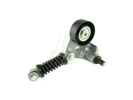 Натягувач ременя MICRO-V FORD FAST FT44631