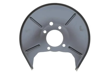 Захист гальмівного диска DP BS 22319 ORJ