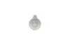 Болт Torx ROTWEISS RWS3876 (фото 2)